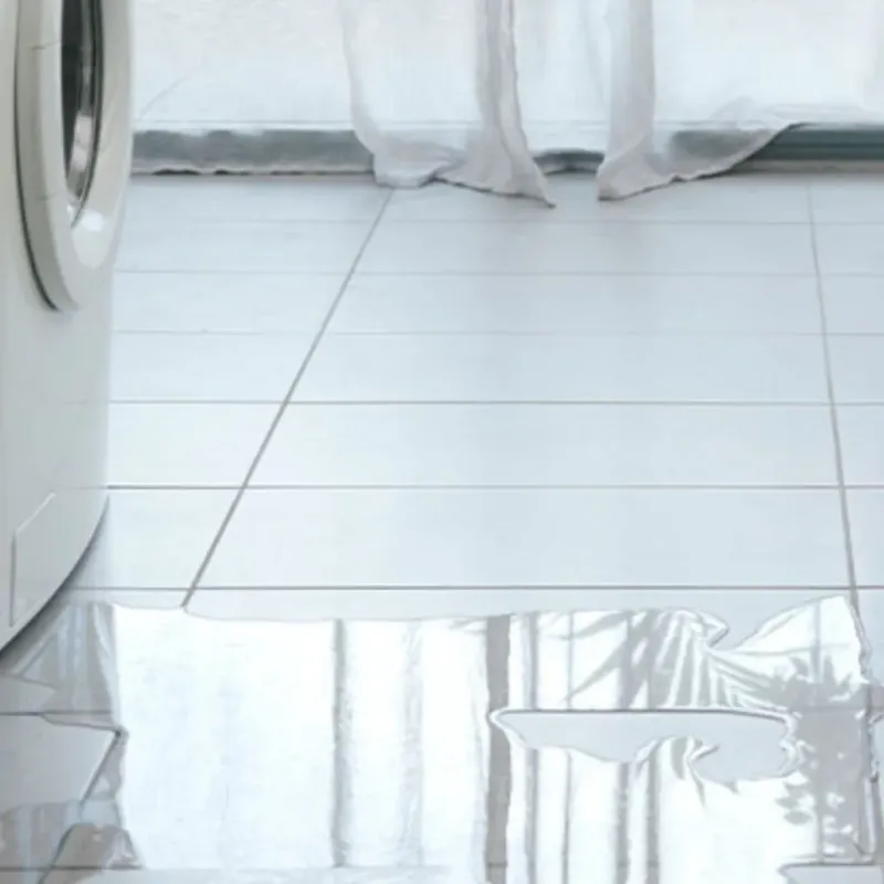 Appliance Leak Cleanup in Prosperity, SC