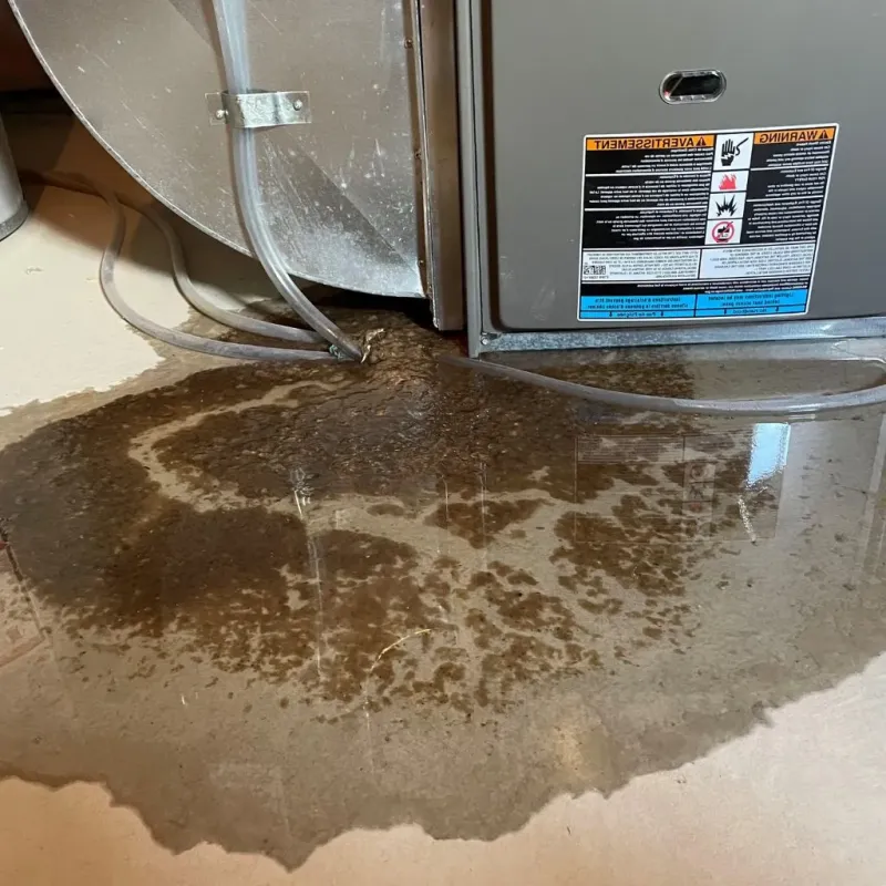 Pipe Burst and Leak Restoration in Prosperity, SC