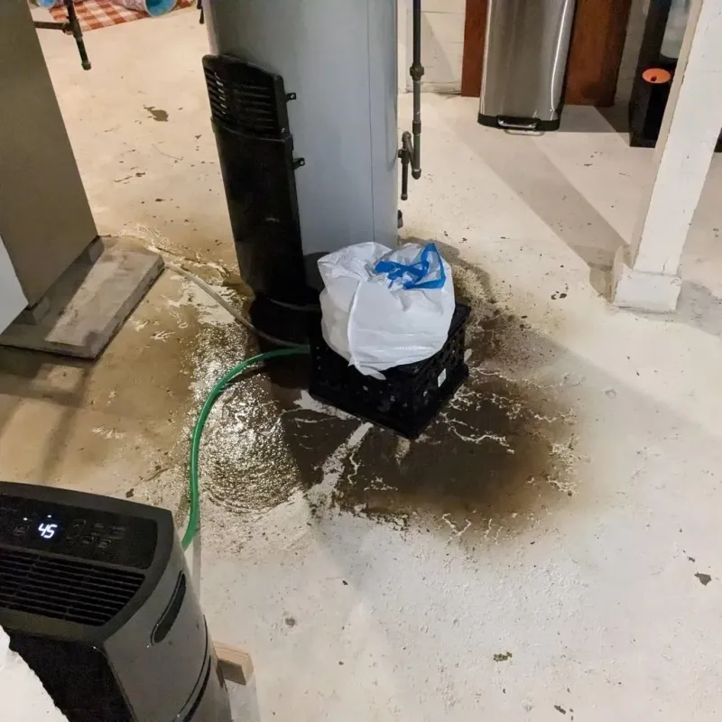 Sewage Backup Cleanup Service in Prosperity, SC